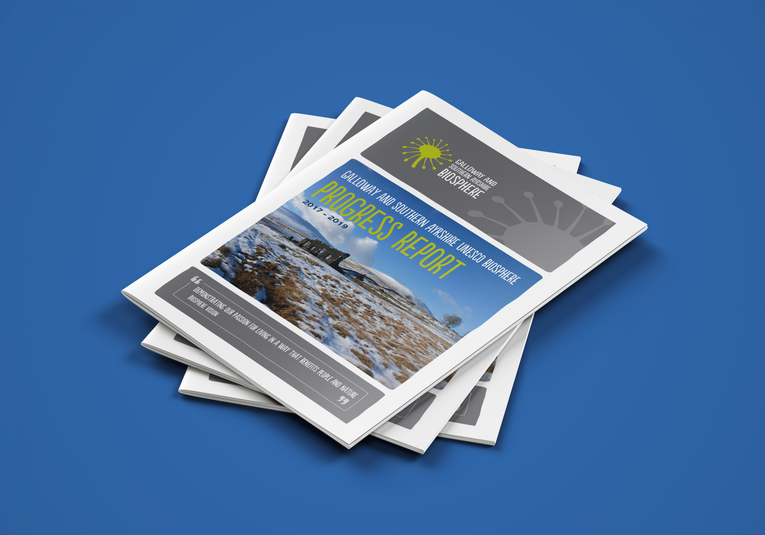 bdsdigital graphic design