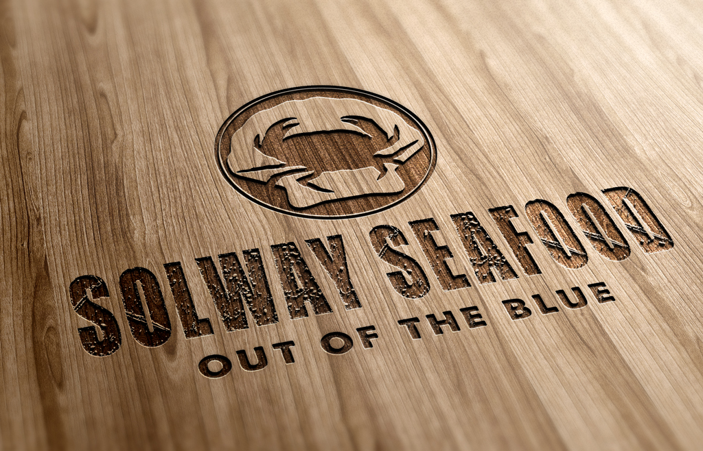 Branding logo design bdsdigital